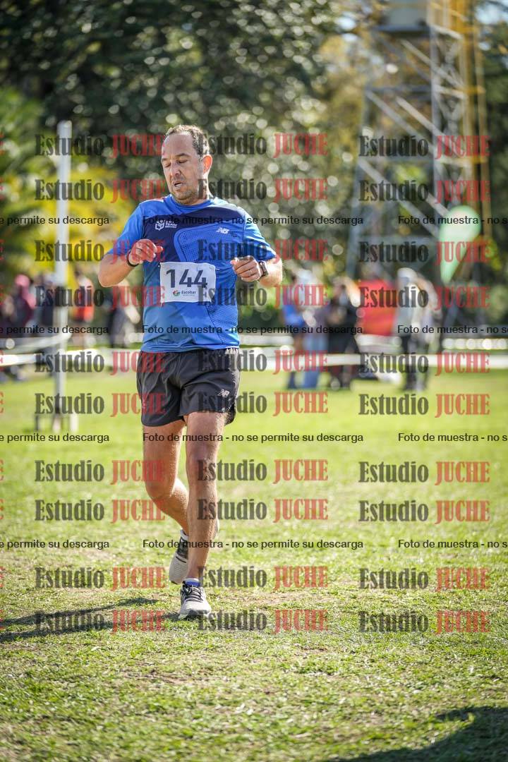 Fotos de la llegada del cross de 8000 m
