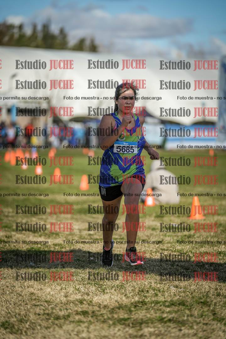 Fotos de las llegadas