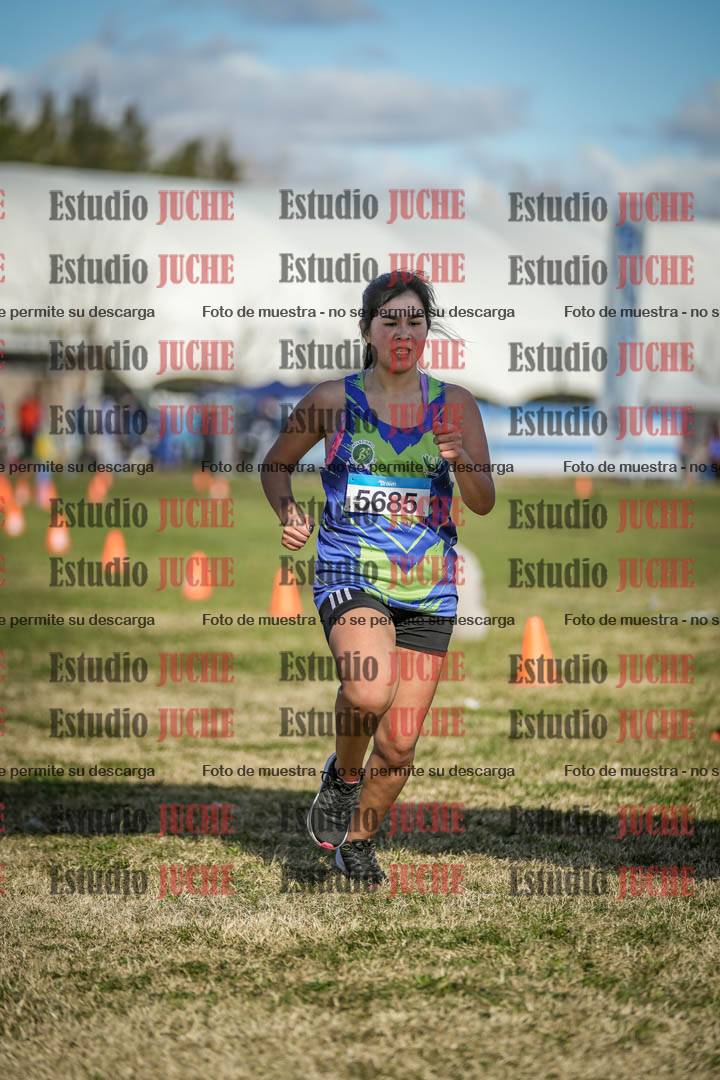 Fotos de las llegadas
