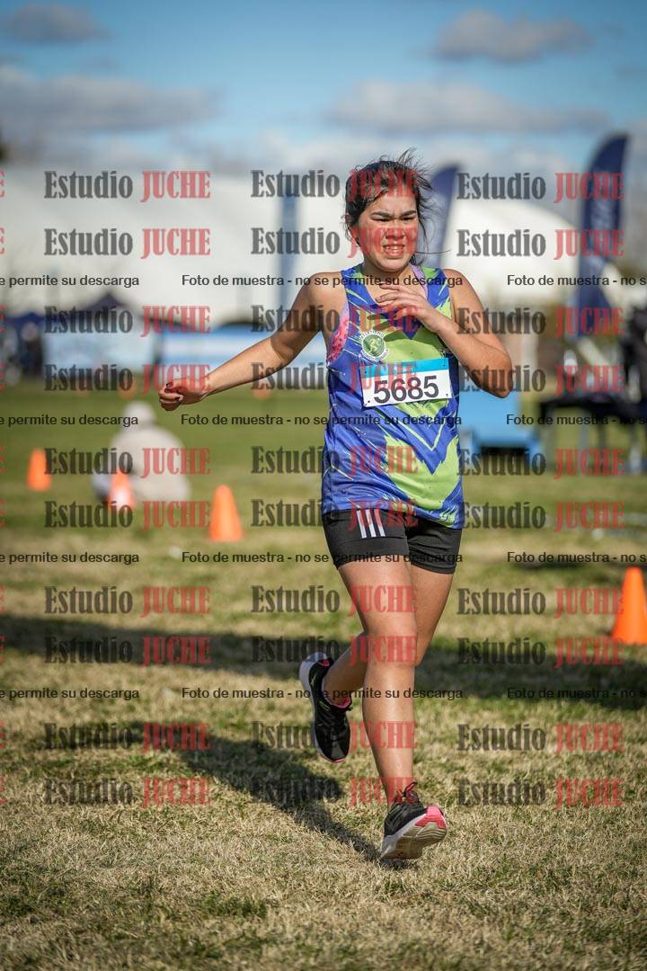 Fotos de las llegadas