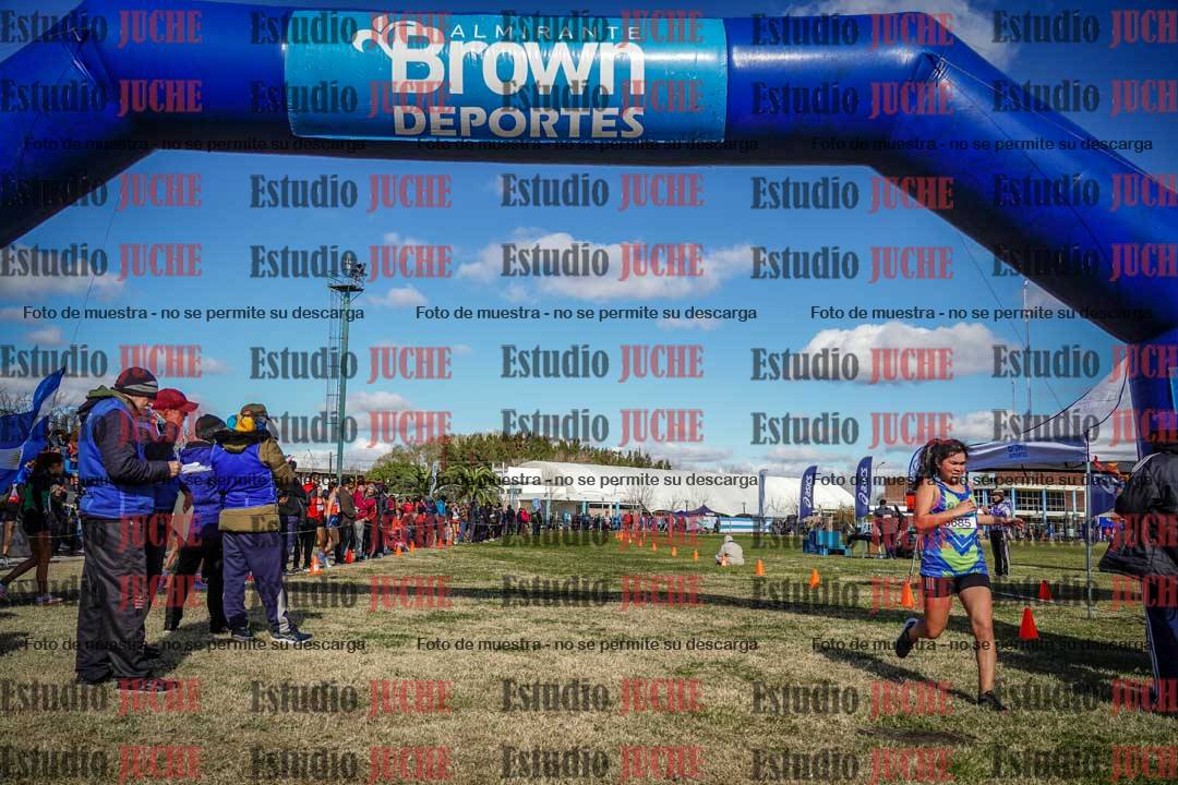 Fotos de las llegadas