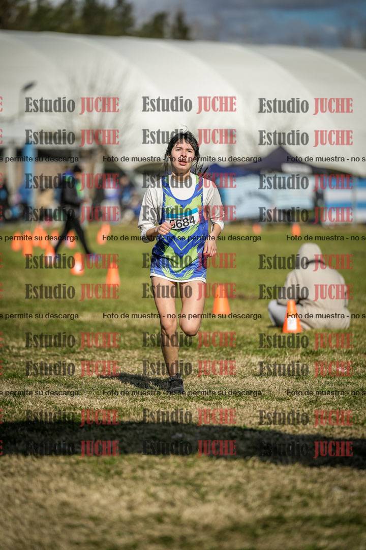 Fotos de las llegadas