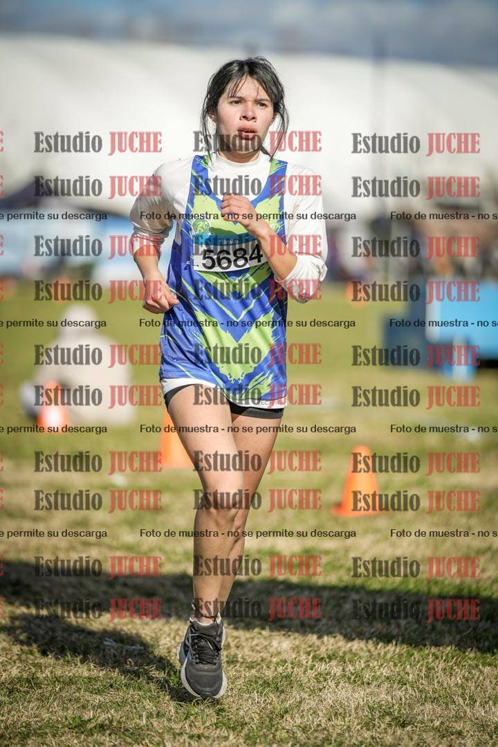 Fotos de las llegadas