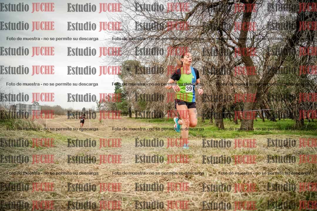 Fotos en el circuito