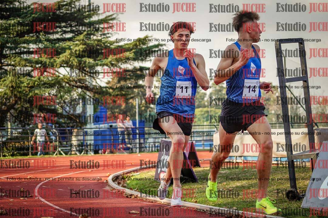 Fotos de los 5000 m llanos de varones