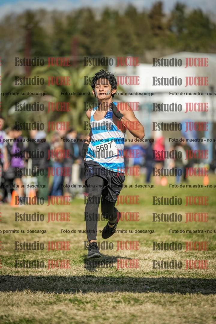 Fotos de las llegadas