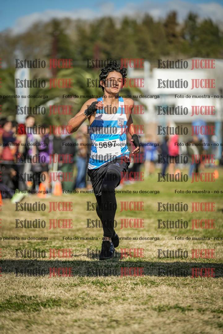 Fotos de las llegadas