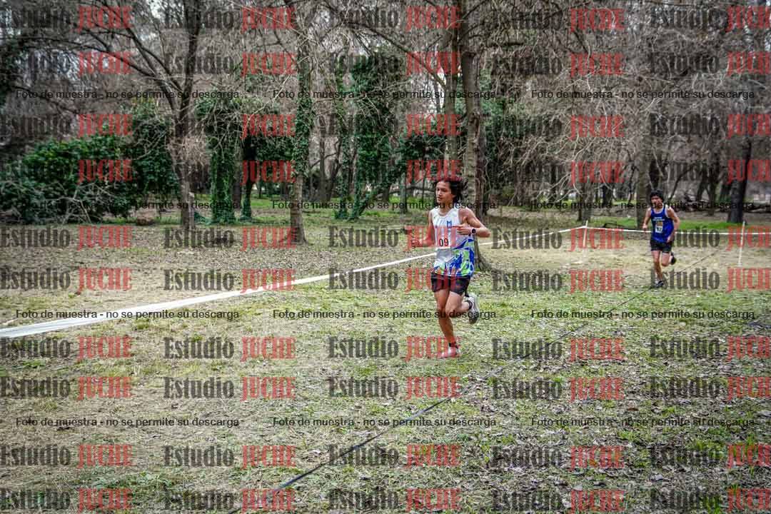 Fotos en el circuito