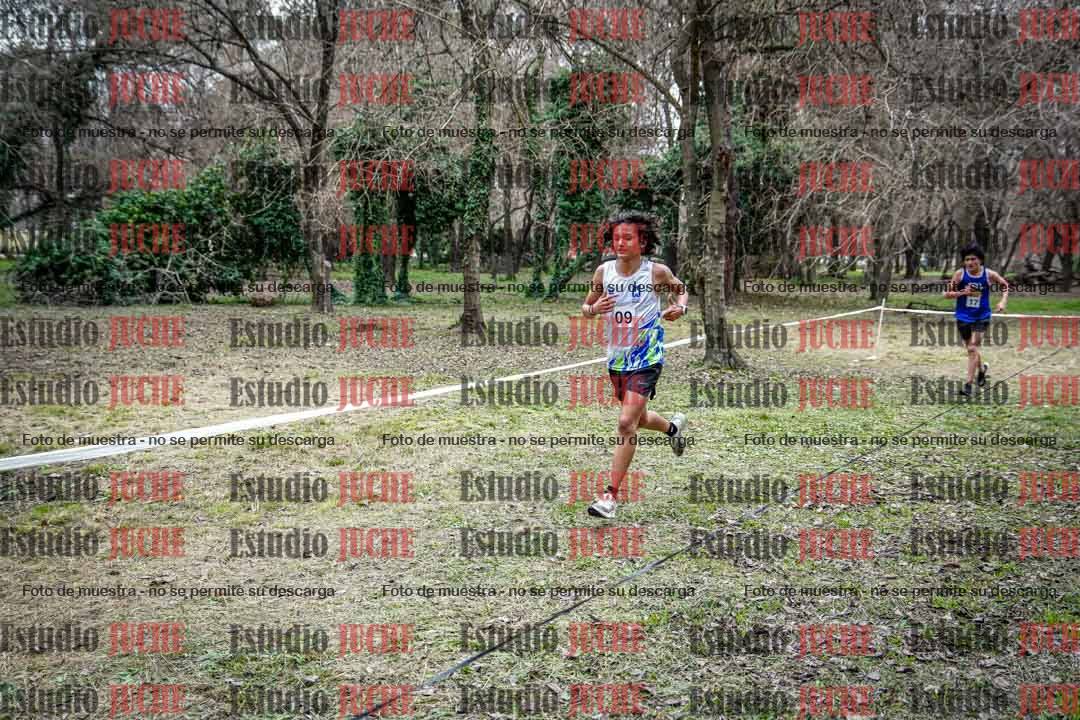 Fotos en el circuito