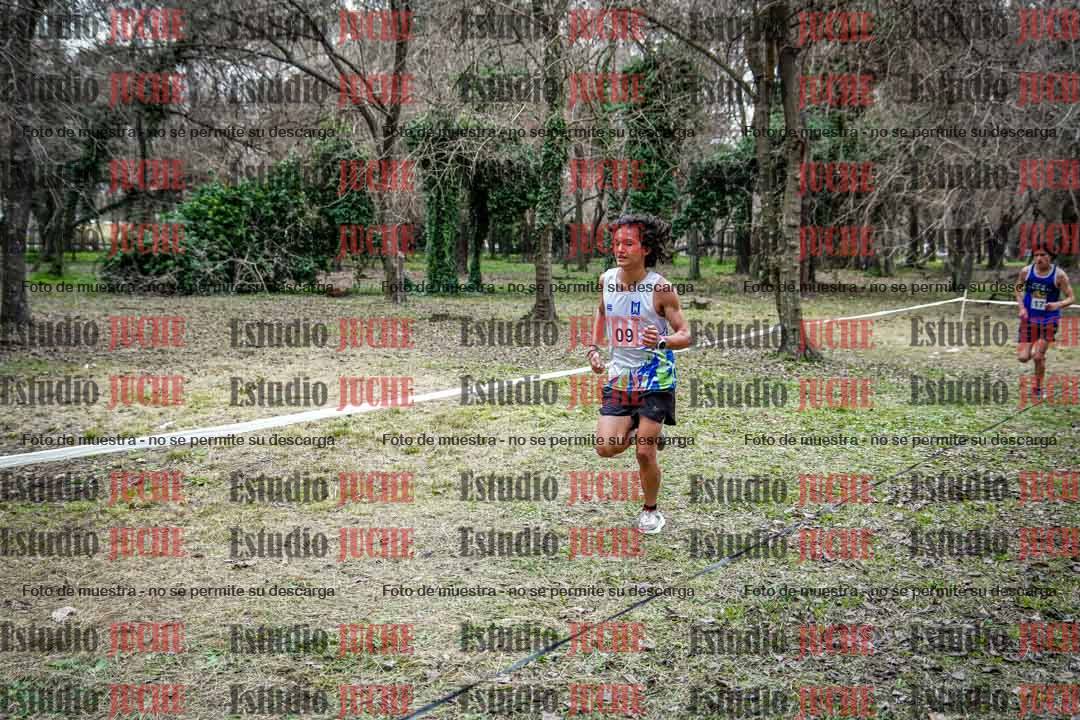 Fotos en el circuito