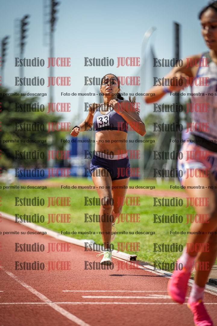 Fotos de los 800 m llanos de mujeres