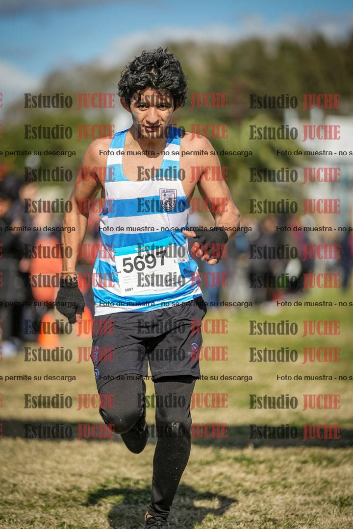 Fotos de las llegadas