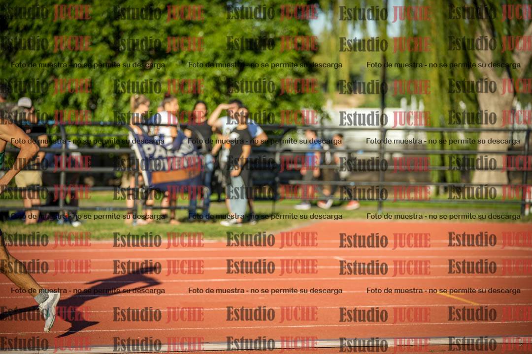 Fotos de los 3000 m llanos de varones