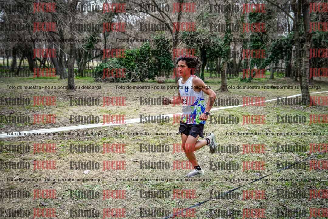 Fotos en el circuito