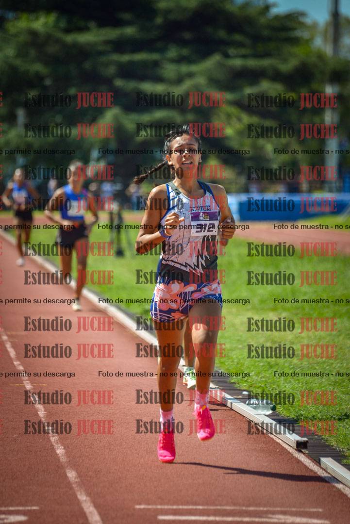 Fotos de los 800 m llanos de mujeres