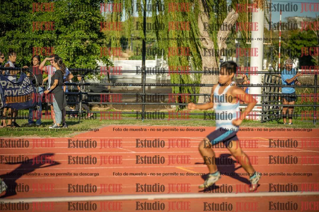 Fotos de los 3000 m llanos de varones