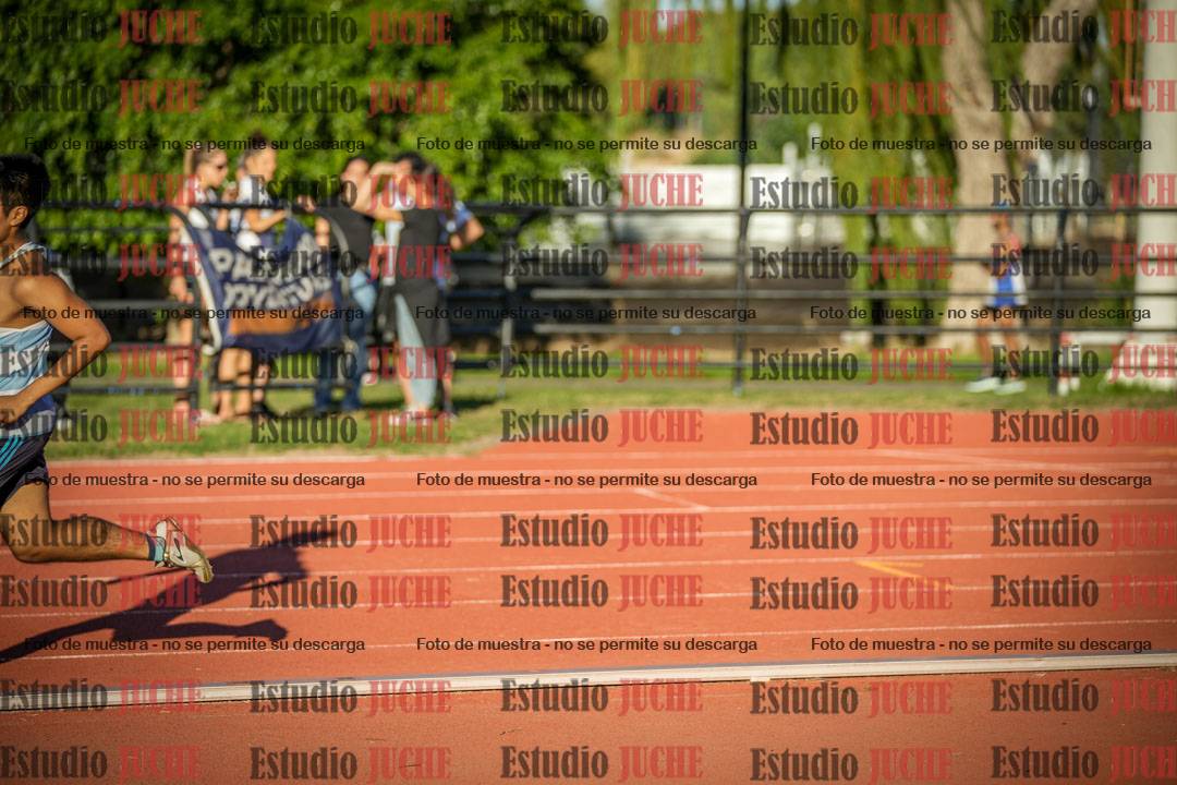 Fotos de los 3000 m llanos de varones