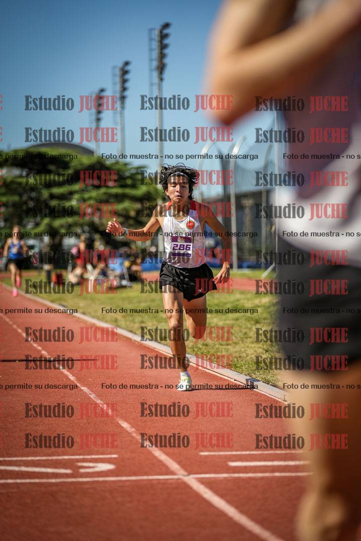 Fotos de los 1500 m de varones