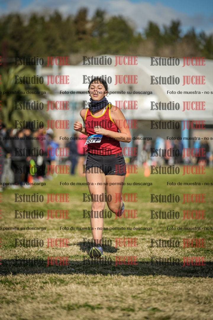 Fotos de las llegadas