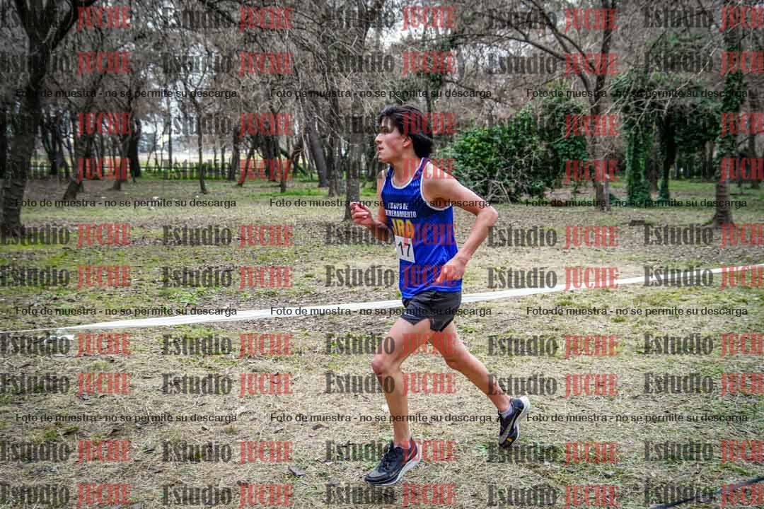 Fotos en el circuito