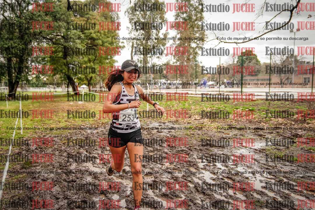 Fotos en el circuito