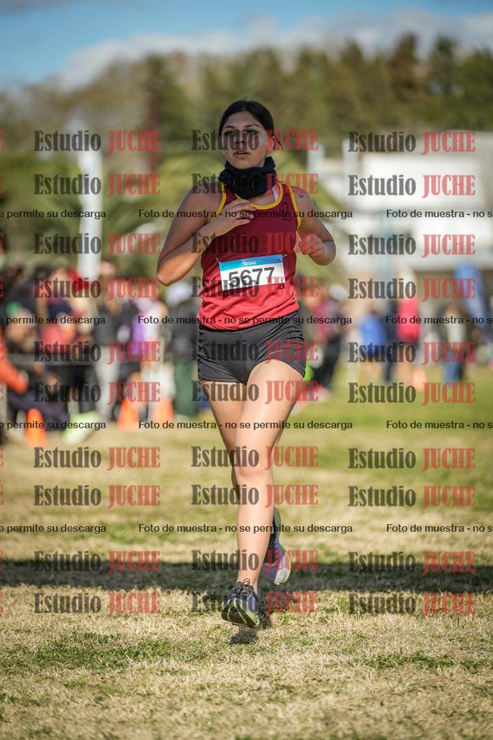 Fotos de las llegadas