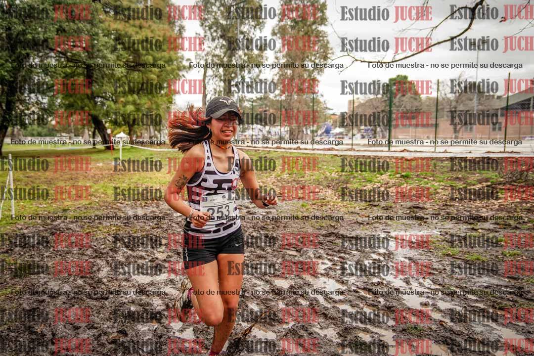 Fotos en el circuito
