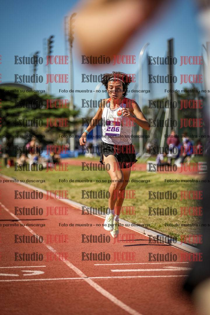 Fotos de los 1500 m de varones