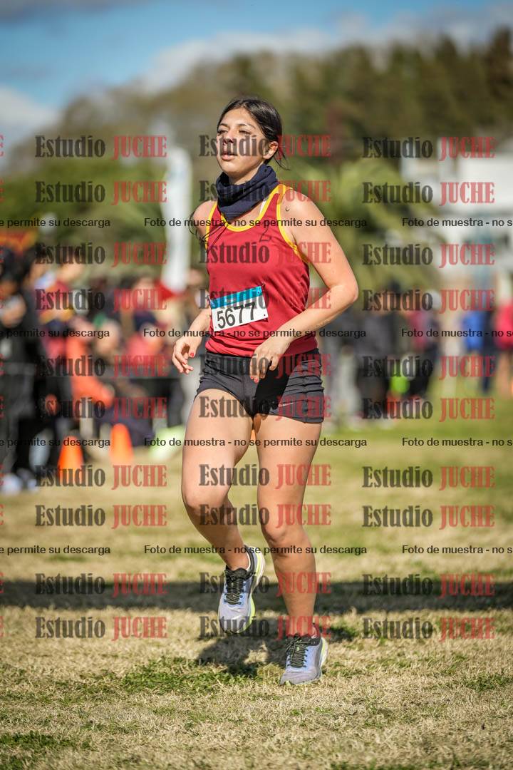 Fotos de las llegadas