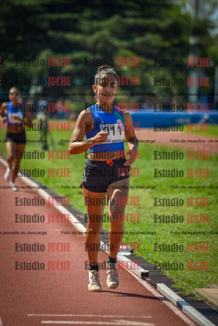 Fotos de los 800 m llanos de mujeres