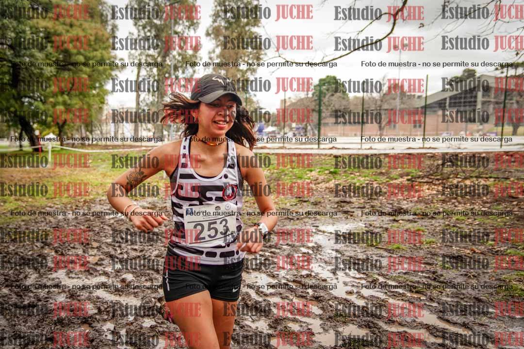 Fotos en el circuito
