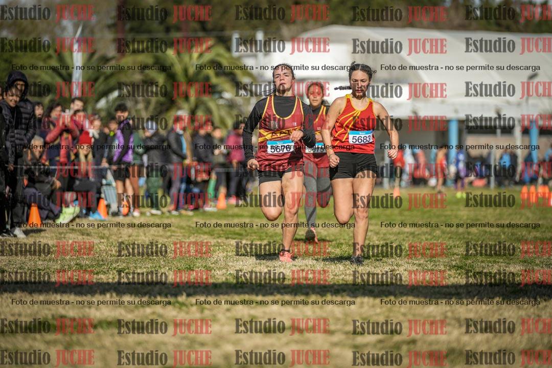 Fotos de las llegadas