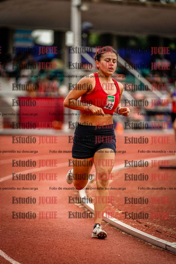 Fotos de los 800 m de mujeres