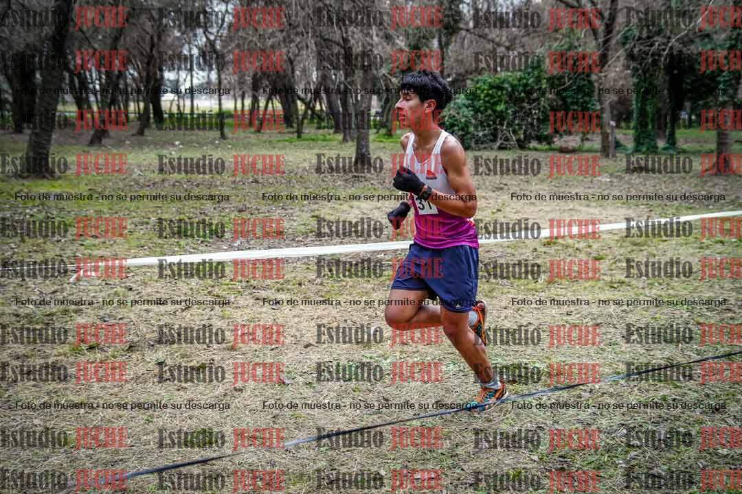 Fotos en el circuito