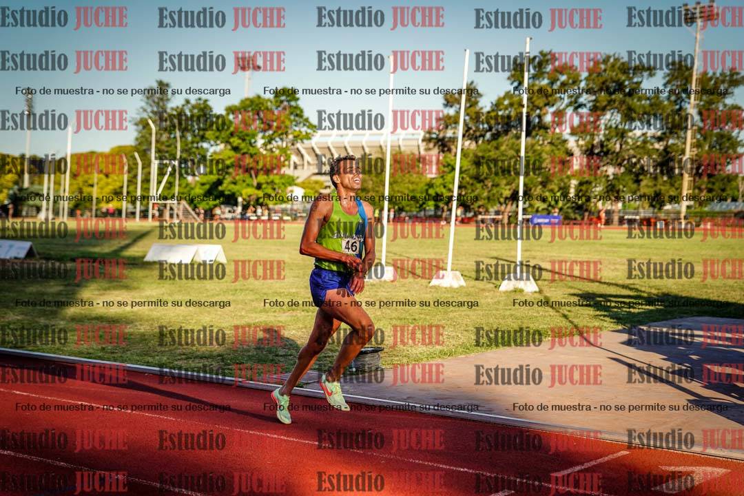Fotos de los 3000 m llanos de varones
