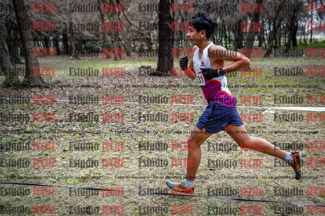 Fotos en el circuito