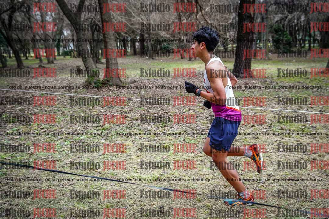 Fotos en el circuito