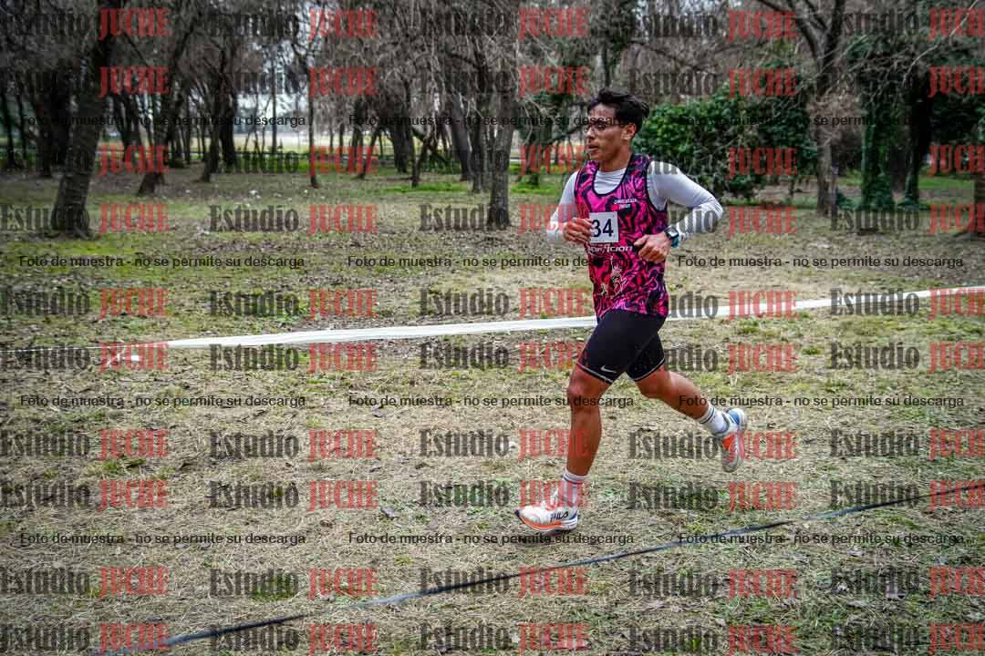 Fotos en el circuito