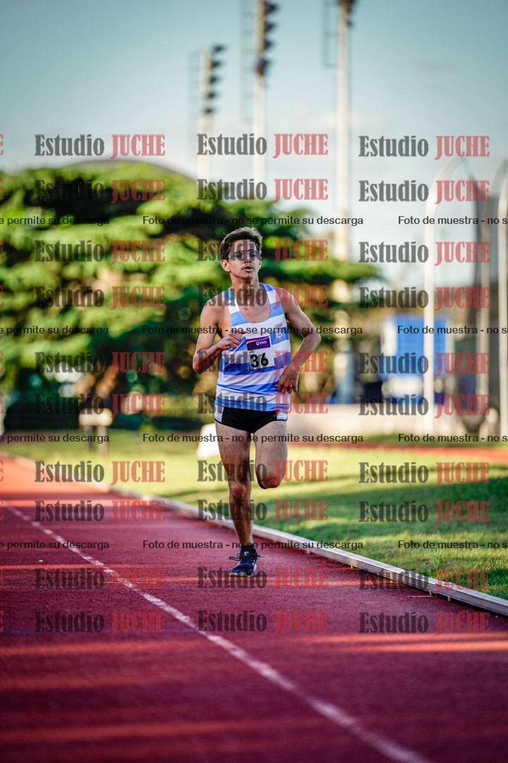 Fotos de los 3000 m llanos de varones