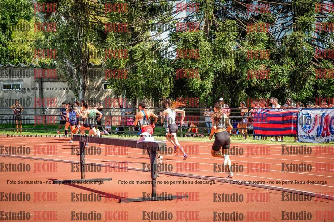 Fotos de los 800 m llanos de mujeres