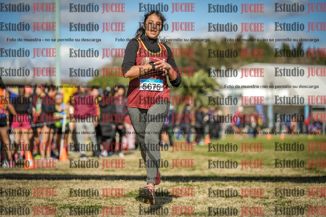 Fotos de las llegadas