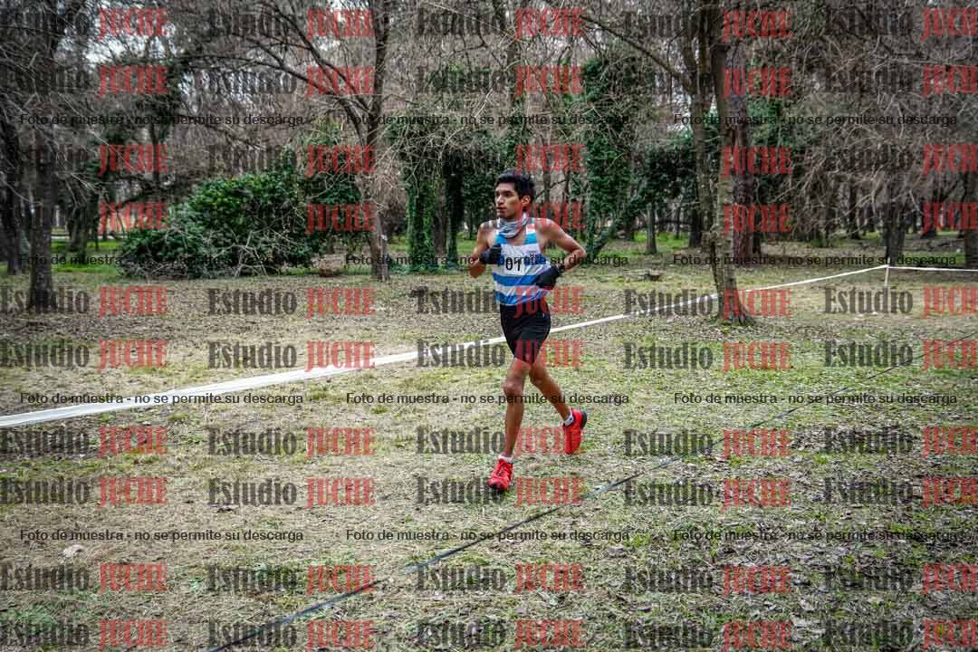 Fotos en el circuito