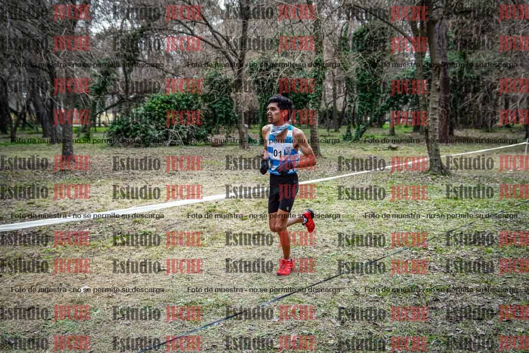 Fotos en el circuito