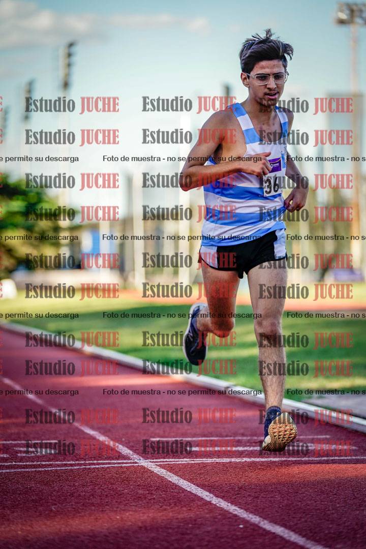 Fotos de los 3000 m llanos de varones