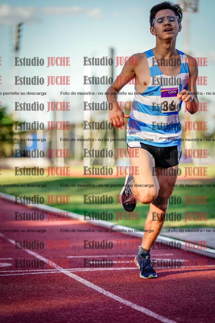 Fotos de los 3000 m llanos de varones