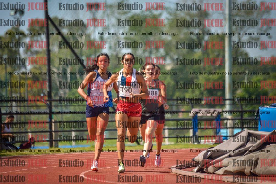 Fotos de los 800 m llanos de mujeres