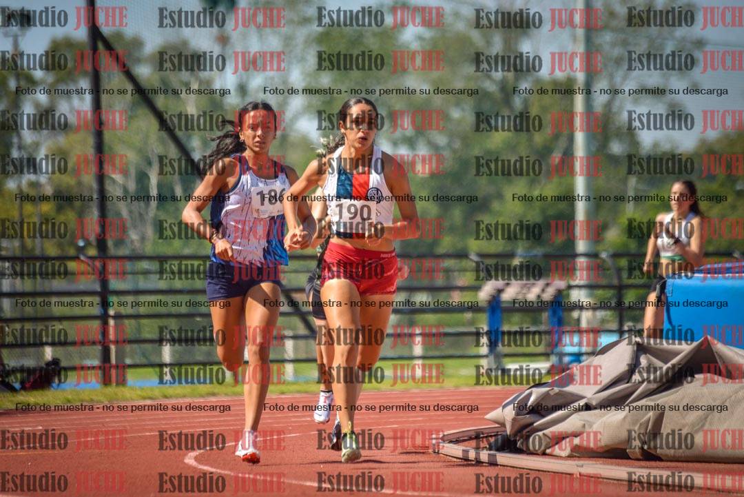 Fotos de los 800 m llanos de mujeres