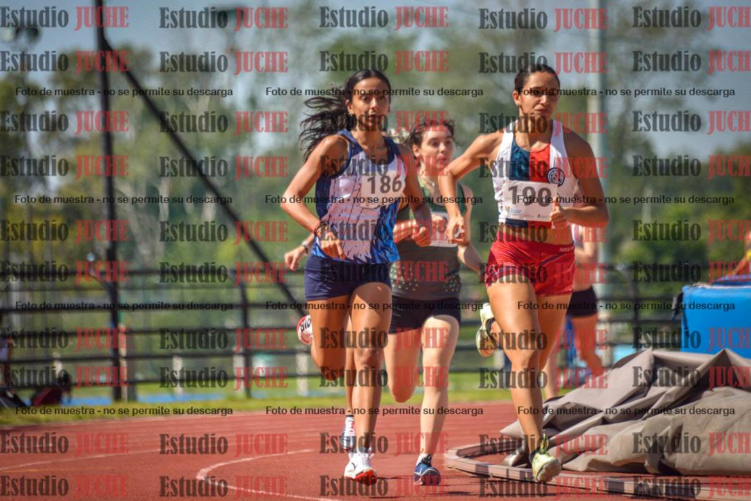 Fotos de los 800 m llanos de mujeres
