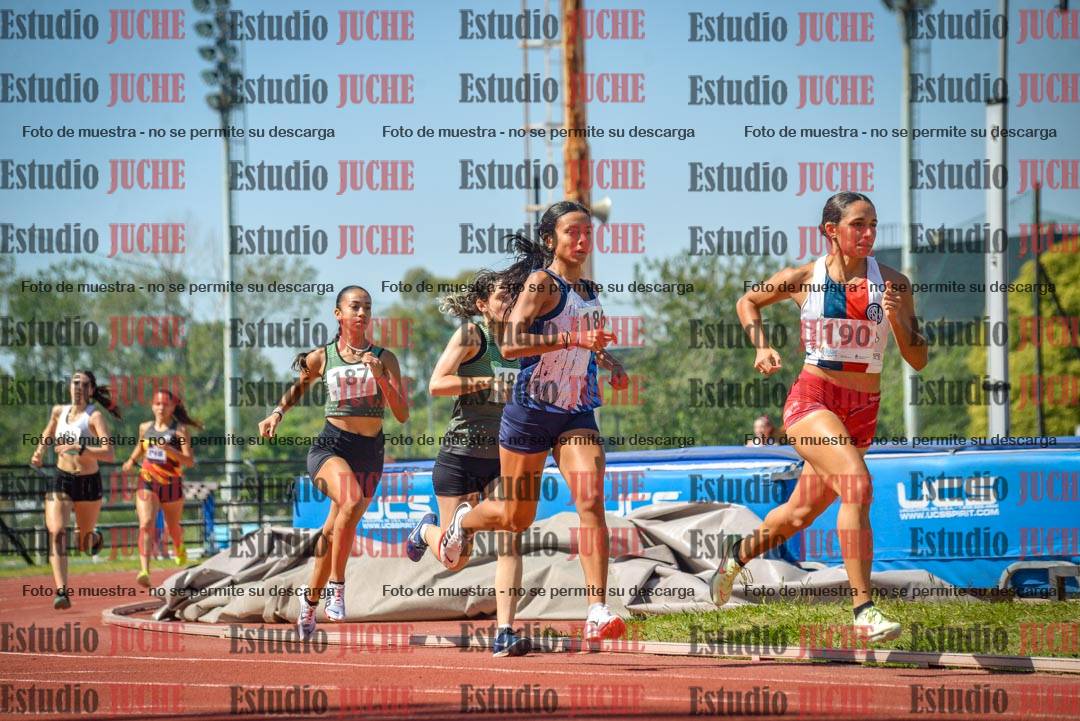 Fotos de los 800 m llanos de mujeres