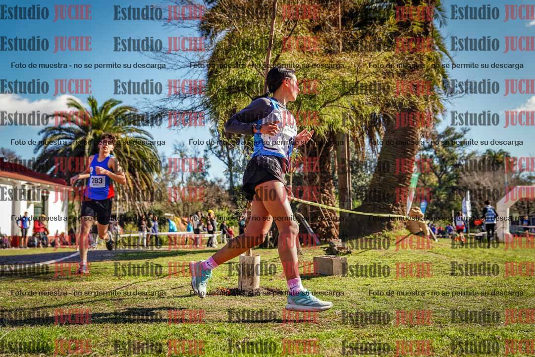 Fotos en el quinto punto del circuito